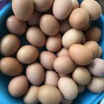 Top view of brown eggs piled in a blue bowl, showcasing fresh organic farm produce.